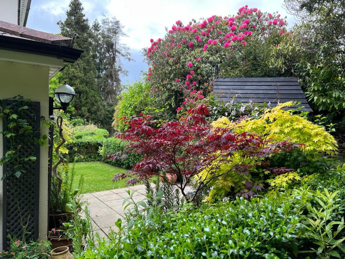 Hollyhocks Holiday Home- 2 Bedroomed Ground Floor Apartment Sleeps 5 Ivybridge Exterior foto
